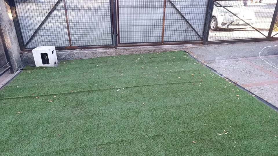 Después del retiro de escombros con jardín transformado con césped sintético